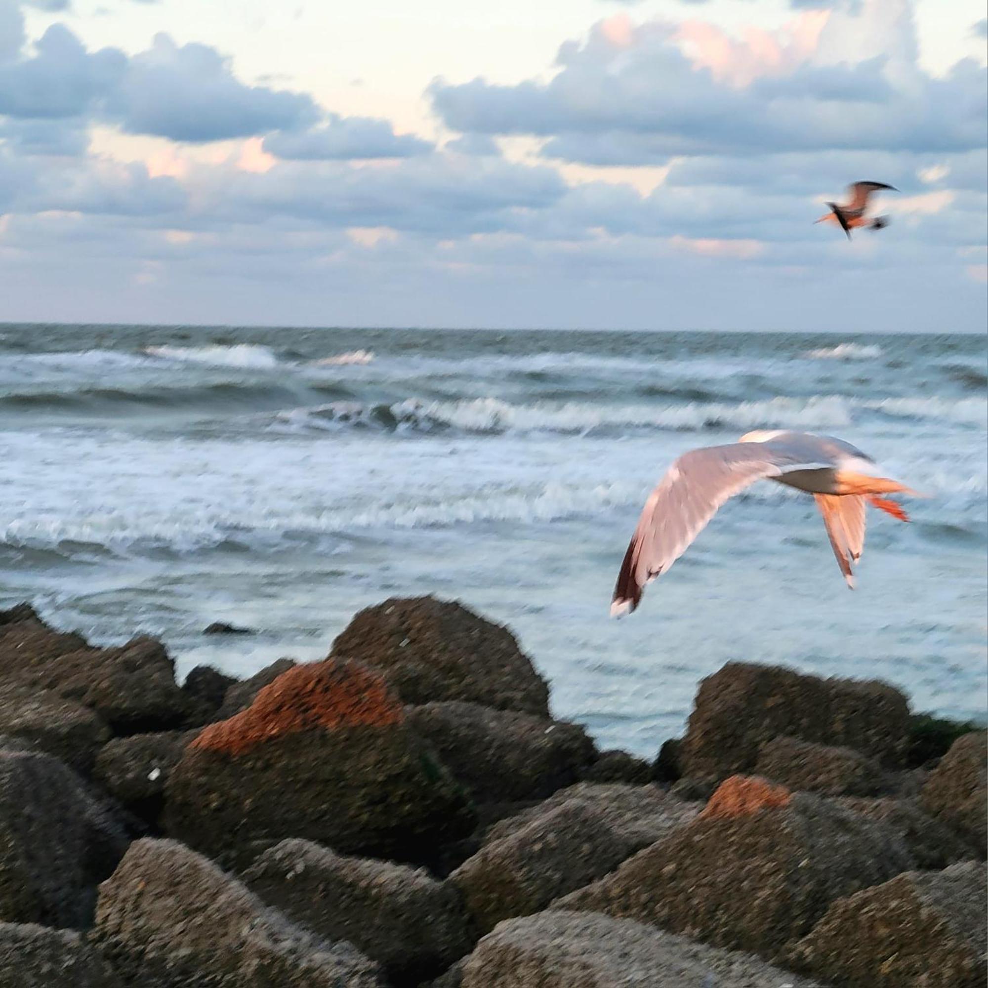 Caravan Aan Zee Arnani Middelkerke Luaran gambar
